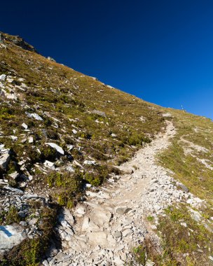 bir yaz günü tarihinde fagaras dağların Romanya, iz
