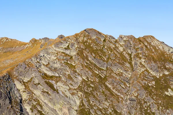 Landschap van bergen van fagaras in Roemenië, in een zomerdag — Stockfoto