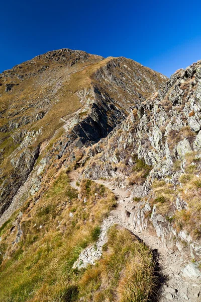 Пейзаж з гірською стежкою — стокове фото