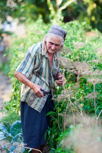 Donna anziana nell'orto — Foto Stock