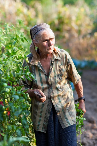 Starší žena v zahradě — Stock fotografie