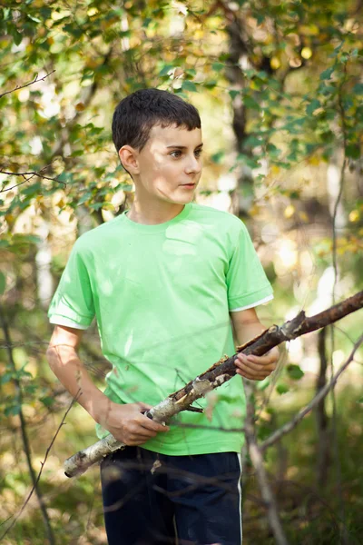 Rapaz bonito brincando na moita com um pau — Fotografia de Stock