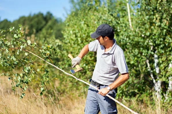 bir balta ile genç adam kesme Şubesi