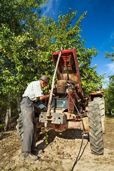 Agricultor sénior reparando o motor de seu trator em um pomar Imagens De Bancos De Imagens Sem Royalties