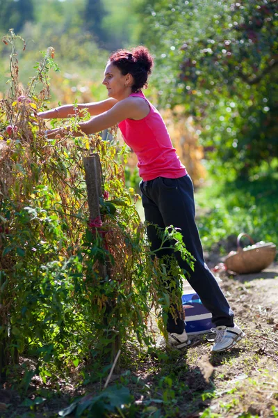 Young woman working in her garden — Stock Photo, Image