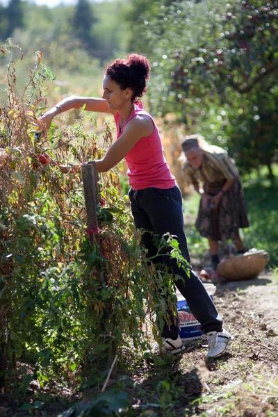 Giovane donna che lavora nel suo giardino — Foto Stock