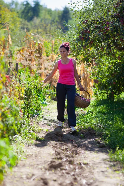 Unga jordbrukare kvinna med en korg i landsbygden — Stockfoto