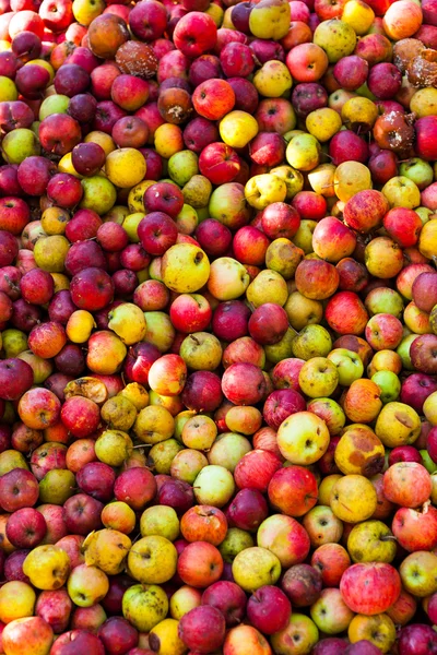 Fondo de manzana madura —  Fotos de Stock