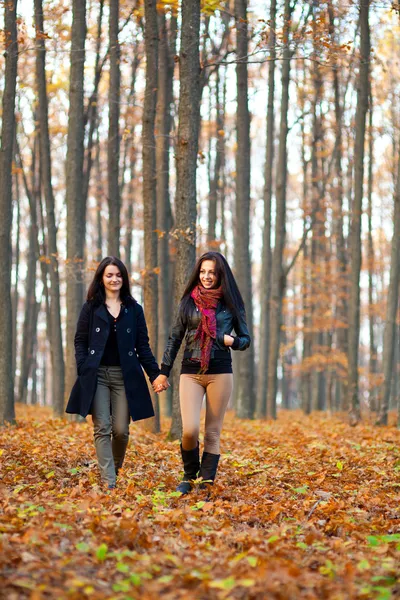 Zwei glückliche Freundinnen, die im Wald spazieren gehen und Händchen halten — Stockfoto