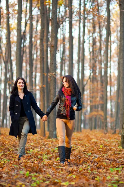 Två glada väninnor promenader i skogen medan du håller händerna — Stockfoto