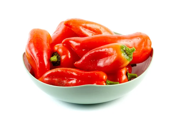 Röd paprika — Stockfoto