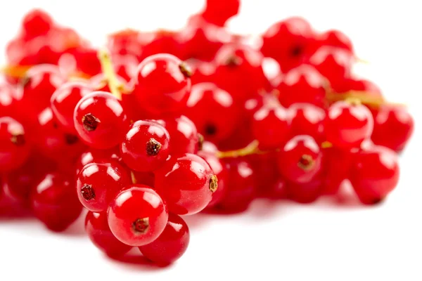 Redcurrant — Stock Photo, Image