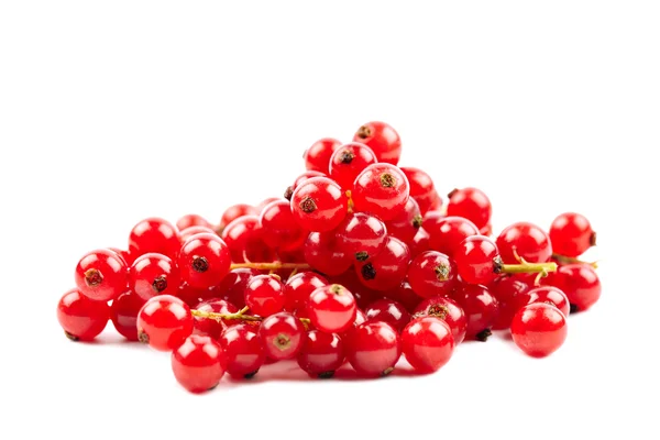 Redcurrant — Stock Photo, Image