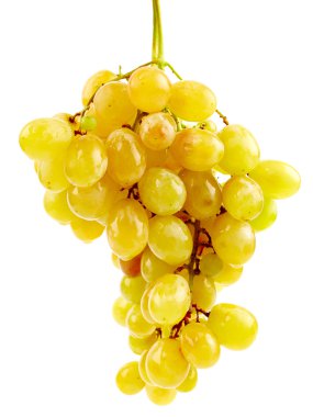 beyaz üzüm