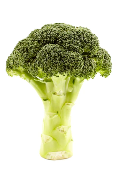 Brócolis sobre fundo branco — Fotografia de Stock
