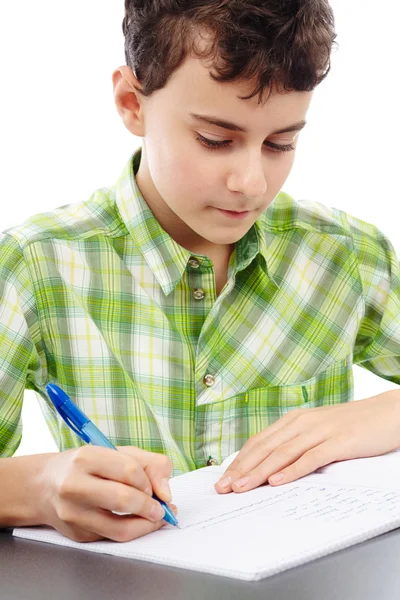 Estudiante haciendo tareas —  Fotos de Stock