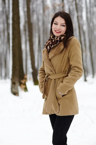 Mooie vrouw poseren in het bos in de winter — Stockfoto