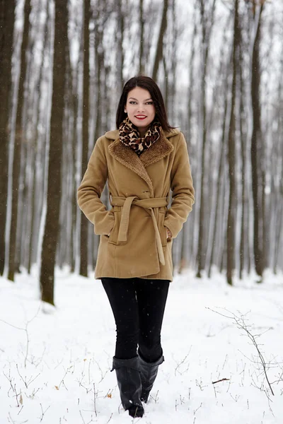 Jonge vrouw poseren in het bos in de sneeuw — Stockfoto