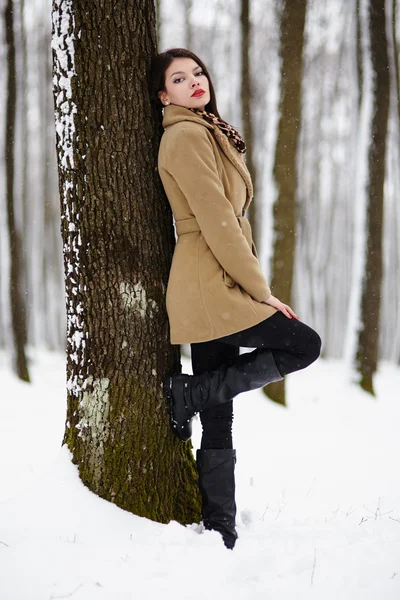 Beautiful brunette leaning on a tree trunk in the winter — Stock Photo, Image