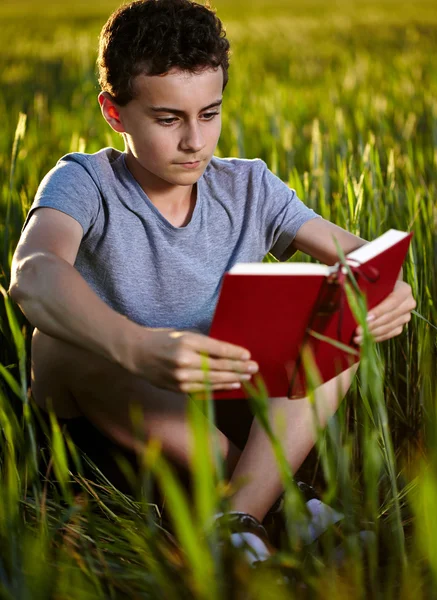 Niño leyendo mientras está sentado en la hierba — Foto de Stock