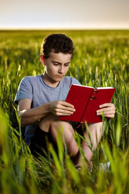 genç çocuk günbatımında bir kitap okuma