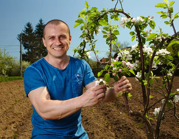 Jonge landbouwer met een appelboom — Stockfoto