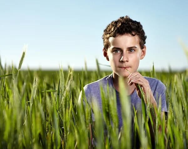 Teenager v pšeničné pole — Stock fotografie