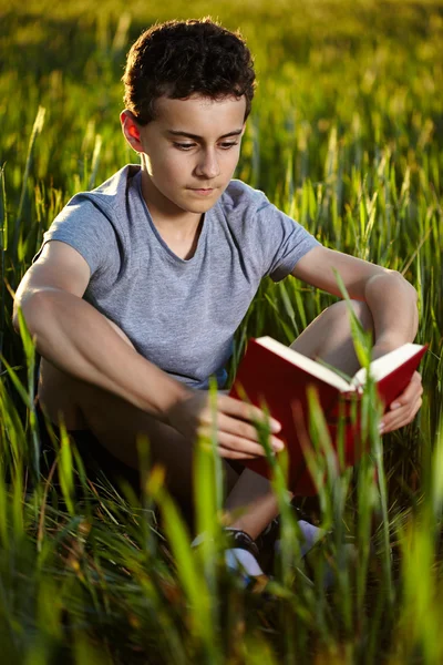 Genç çocuk günbatımında bir kitap okuma — Stok fotoğraf