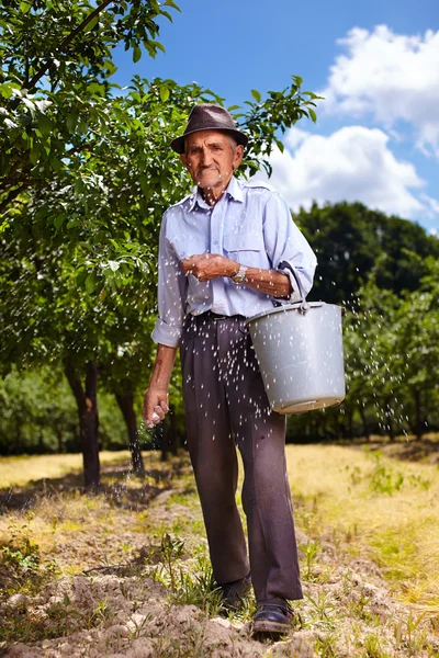 Vieja agricultora fertilizando en un huerto — Foto de Stock