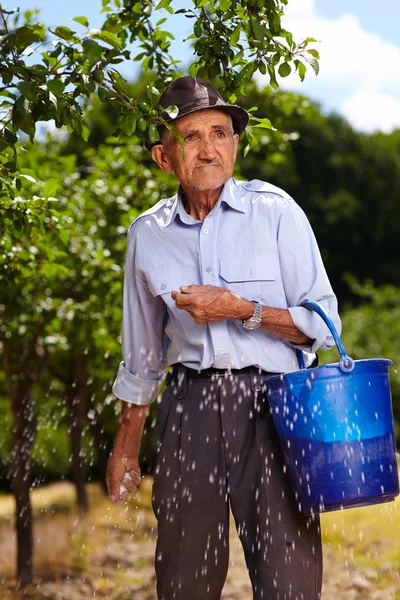 Vecchio agricoltore che fertilizza in un frutteto — Foto Stock