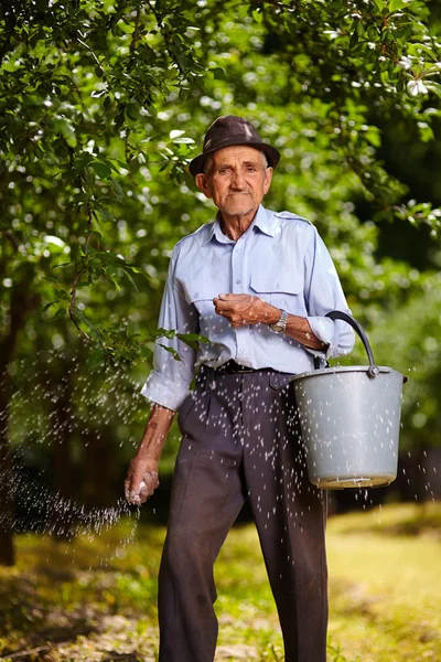 Old farmer fertilizing in an orchard Stock Image