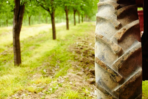 Záběr pneumatik traktor — Stock fotografie