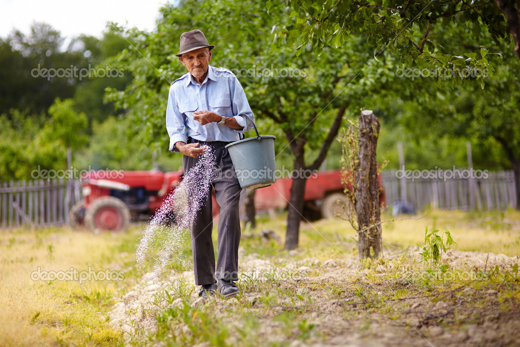 vieux fermier fertilisation dans un verger — Photographie Xalanx