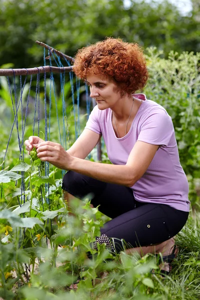 Donna in giardino — Foto Stock