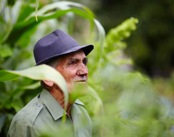 Velho contemplando — Fotografia de Stock