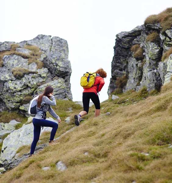 Freunde wandern zusammen — Stockfoto