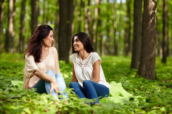 Anne ve kızı bir piknik — Stok fotoğraf