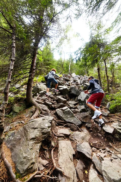 徒步旅行者在针叶林的岩石上爬 — 图库照片