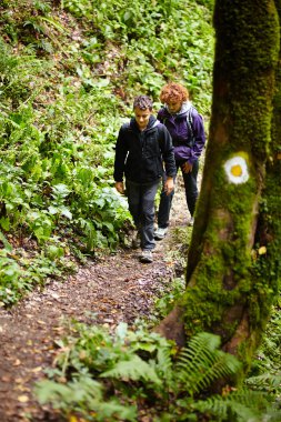 Anne ve oğlu bir zam yolda yürürken