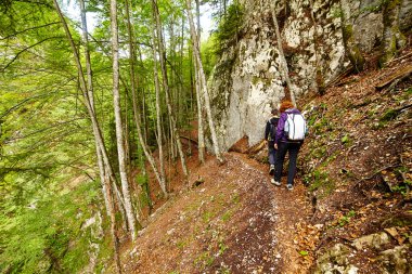 Mother and son walking on a hike trail clipart