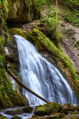 güzel evantai şelale den galbenei gorge