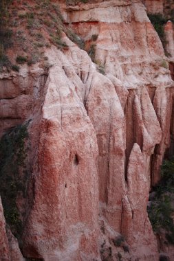 Kırmızı uçurumun Karpat Dağları