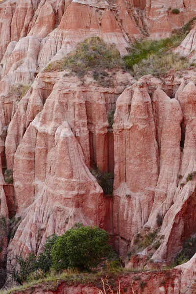Красный ущелье с Карпат — стоковое фото