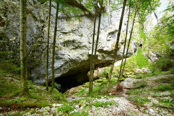 Річка galbena печери в горах apuseni — стокове фото
