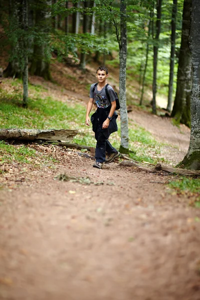 Pojke vandring i en bergskog Stockfoto