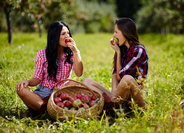 Schöne Frauen, die in einen Apfel beißen — Stockfoto