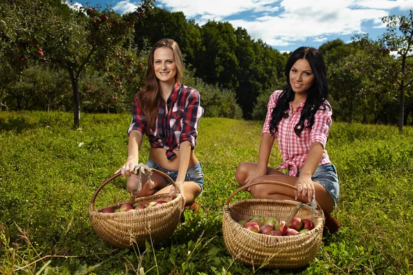 Hermosas mujeres cerca de cestas de manzanas — Foto de Stock