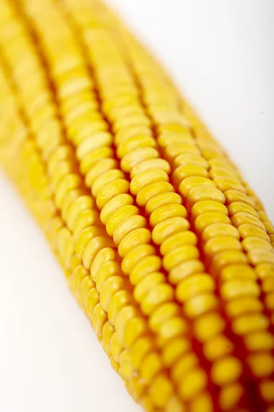 Grãos de espiga de milho — Fotografia de Stock