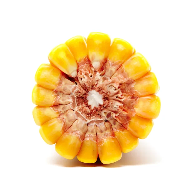 The corn cob pith — Stock Photo, Image