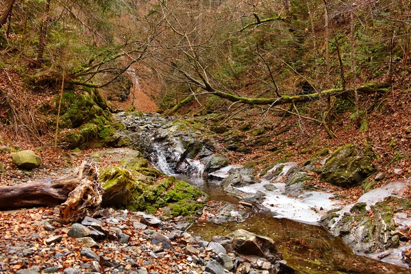 Paesaggio con fiume — Foto Stock